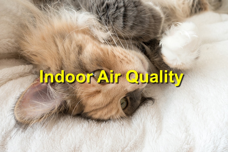 indoor air quality