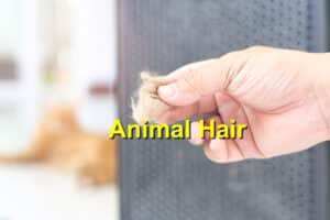 animal hair HVAC filters