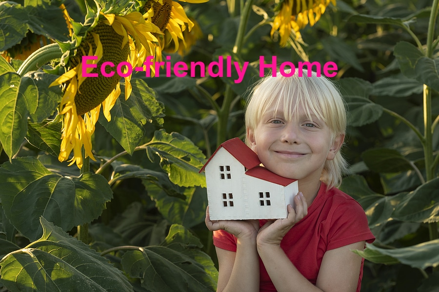 Eco-friendly homes